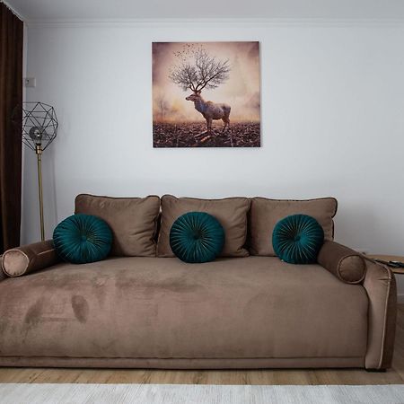 Apartament Victoria Σάτου Μάρε Εξωτερικό φωτογραφία